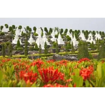 Top Garden Flower
